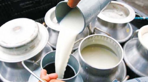 डेरी व्यवसायीद्वारा दूधको मूल्यवृद्धि फिर्ता
