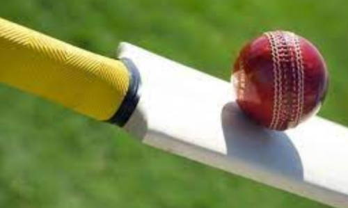 ललितपुर मेयर कप महिला क्रिकेट : आयोजकसामु १११ रनको लक्ष्य