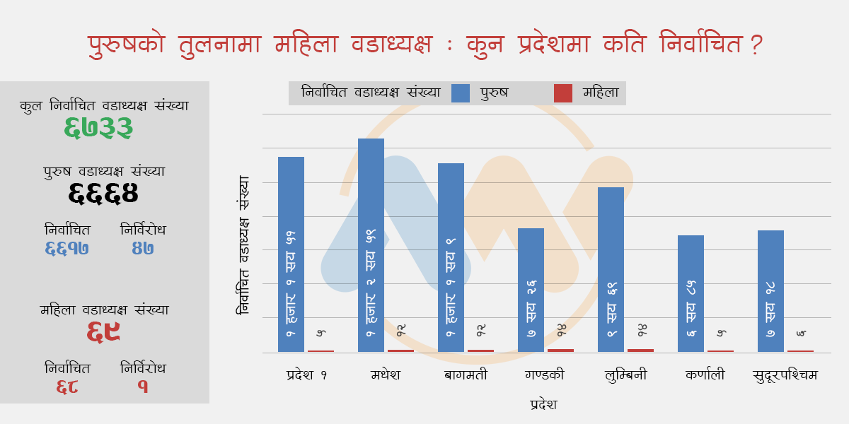 ६७३३ वडाध्यक्षको नतिजा : ६६६४ पुरुष निर्वाचित हुँदा महिलाको संख्या मात्रै ६९