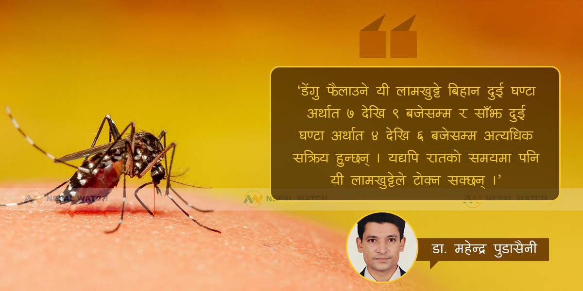 के राति डेंगु लाग्छ ?