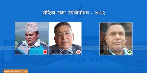 राष्ट्रिय सभा उपनिर्वाचन : लुम्बिनीमा एमालेका उम्मेदवारलाई नाउपाको चुनौती